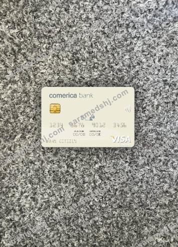 USA Comerica Bank visa card photolook front